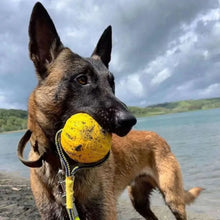 Load image into Gallery viewer, Floating Dog Ball, Water Play Rubber Toy
