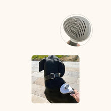 Load image into Gallery viewer, Dog Brush for Long Hair, Gentle Detangling and Healthy Coat
