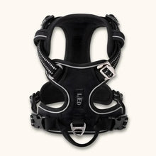 Load image into Gallery viewer, No Pull Dog Harness, Y Shape, Adjustable &amp; Ergonomic Design
