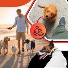 Load image into Gallery viewer, Handheld ultrasonic dog trainer with built-in flashlight
