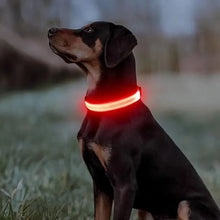 Load image into Gallery viewer, LED Dog Collar, Adjustable Weather-Resistant Light Up Collar
