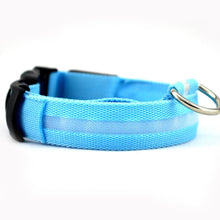 Load image into Gallery viewer, LED Dog Collar, Adjustable Weather-Resistant Light Up Collar

