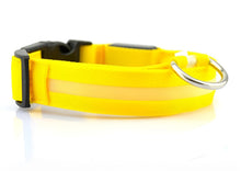 Load image into Gallery viewer, LED Dog Collar, Adjustable Weather-Resistant Light Up Collar
