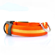 Load image into Gallery viewer, LED Dog Collar, Adjustable Weather-Resistant Light Up Collar
