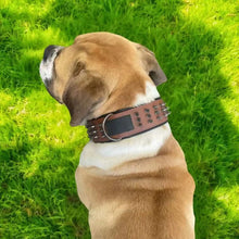 Load image into Gallery viewer, Dog Anti Bite Collar, Genuine Leather Protection Collar
