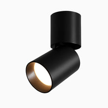Load image into Gallery viewer, LED Adjustable Cylinder Spotlight
