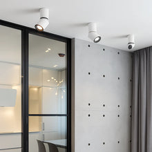 Load image into Gallery viewer, LED Adjustable Cylinder Spotlight
