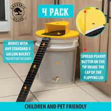 Load image into Gallery viewer, Automatic Bucket Lid Trap with Auto Reset Mechanism and Ladder Bait System
