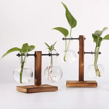 Load image into Gallery viewer, Hydroponic Glass Terrarium Vase for Home, Office Décor
