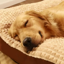 Load image into Gallery viewer, Soft Fleece Pet Blanket and Cushion Mat for Dog and Cat
