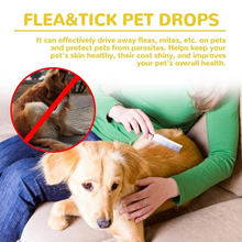 Load image into Gallery viewer, Cat Flea Treatment At Home
