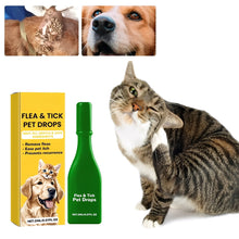Load image into Gallery viewer, Cat Flea Treatment At Home
