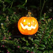 Load image into Gallery viewer, Solar Pumpkin Pathway Lights with Warm White LED and Automatic Dusk Sensor
