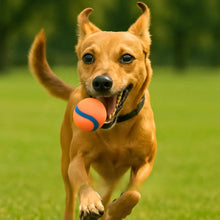 Load image into Gallery viewer, Soft Rubber Dog Ball, Medium Size, Floating &amp; Squeaky Toy
