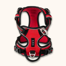 Load image into Gallery viewer, No Pull Dog Harness, Y Shape, Adjustable &amp; Ergonomic Design
