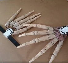 Load image into Gallery viewer, Articulated Finger Extensions Pair with Clawed Digits for Halloween Costumes
