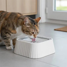 Load image into Gallery viewer, Elevated Cat Water Bowls, Anti-Splash Floating Design
