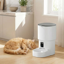 Load image into Gallery viewer, Automatic Cat Food Dispenser with Wi-Fi and Digital Touch Screen
