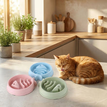 Load image into Gallery viewer, Cat Slow Feeder Bowl For Anti-Choking And Easy Digestion

