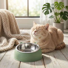 Load image into Gallery viewer, Elevated Cat Bowls, Anti-Slip and Tilted Design
