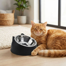 Load image into Gallery viewer, Elevated Cat Bowls, Anti-Slip and Tilted Design
