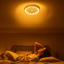 Load image into Gallery viewer, Modern Resin Ceiling Light with Adjustable Color Temperature
