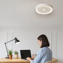 Load image into Gallery viewer, Modern Resin Ceiling Light with Adjustable Color Temperature

