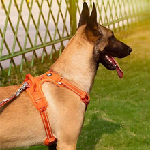 Load image into Gallery viewer, No Pull Dog Harness, Y Shape, Adjustable &amp; Ergonomic Design
