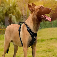 Load image into Gallery viewer, No Pull Dog Harness, Y Shape, Adjustable &amp; Ergonomic Design
