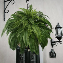 Load image into Gallery viewer, Artificial Boston Fern with Flexible Stems for Planters, Hanging Baskets and Decorative Pots
