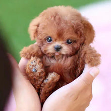 Load image into Gallery viewer, Interactive Robotic Puppy with Voice Activation and Touch Sensors, Soft Fur Texture
