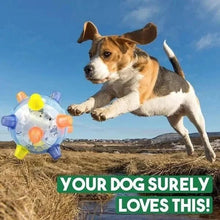 Load image into Gallery viewer, Automatic Bouncing Ball for Dogs with Touch Activation and Random Movement Pattern
