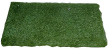 Load image into Gallery viewer, Indoor Grass
