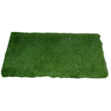 Load image into Gallery viewer, Indoor Grass
