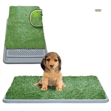 Load image into Gallery viewer, Indoor Grass
