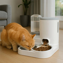 Load image into Gallery viewer, Automatic Cat Food and Water Dispenser 2-in-1 Gravity Feeder
