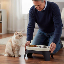 Load image into Gallery viewer, Elevated Cat Bowl, Non-Slip Stainless Steel Feeding Dish
