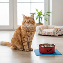 Load image into Gallery viewer, Stainless Steel Cat Bowls, Non Slip Easy Clean Feeding Dish
