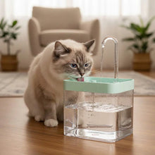 Load image into Gallery viewer, Cat Water Fountain, Silent Multi-Layer Filtration
