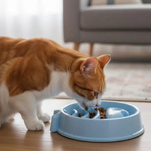 Load image into Gallery viewer, Cat Slow Feeder Bowl For Anti-Choking And Easy Digestion
