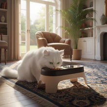 Load image into Gallery viewer, Elevated Cat Bowl, Non-Slip Stainless Steel Feeding Dish
