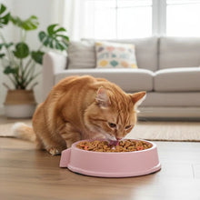 Load image into Gallery viewer, Cat Slow Feeder Bowl For Anti-Choking And Easy Digestion
