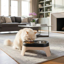 Load image into Gallery viewer, Elevated Cat Bowl, Non-Slip Stainless Steel Feeding Dish
