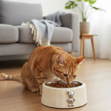 Load image into Gallery viewer, Cat Slow Feeder Bowl Anti-Slip Ceramic
