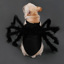 Load image into Gallery viewer, Spider Pet Costume with Attached Legs and Adjustable Straps
