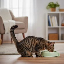 Load image into Gallery viewer, Cat Slow Feeder Bowl For Anti-Choking And Easy Digestion
