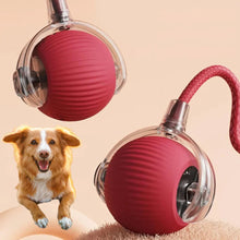 Load image into Gallery viewer, Interactive Rolling Ball with Tail Attachment for Dogs
