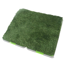 Load image into Gallery viewer, Indoor Grass
