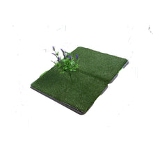 Load image into Gallery viewer, Indoor Grass
