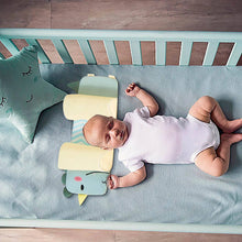 Load image into Gallery viewer, Infant Head Pillow with Adjustable Side Cushions and 3D Mesh Ventilation, Buckwheat Husk Filling
